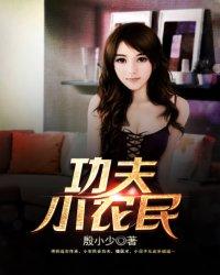 功夫高手模拟器单机版