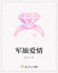军旅爱情电视剧现代