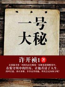 一号大秘后续