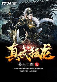 真武狂龙TXT八零