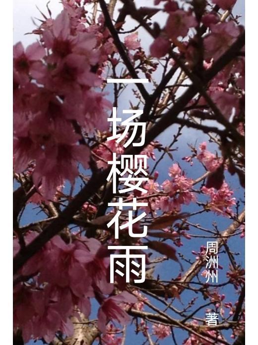 一场大雨后樱花都要没了