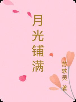 月光铺满你的戎装