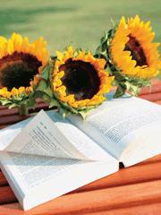 我爱你的那一天