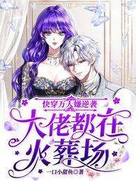 快穿万人嫌逆袭大佬都在火葬场好看吗