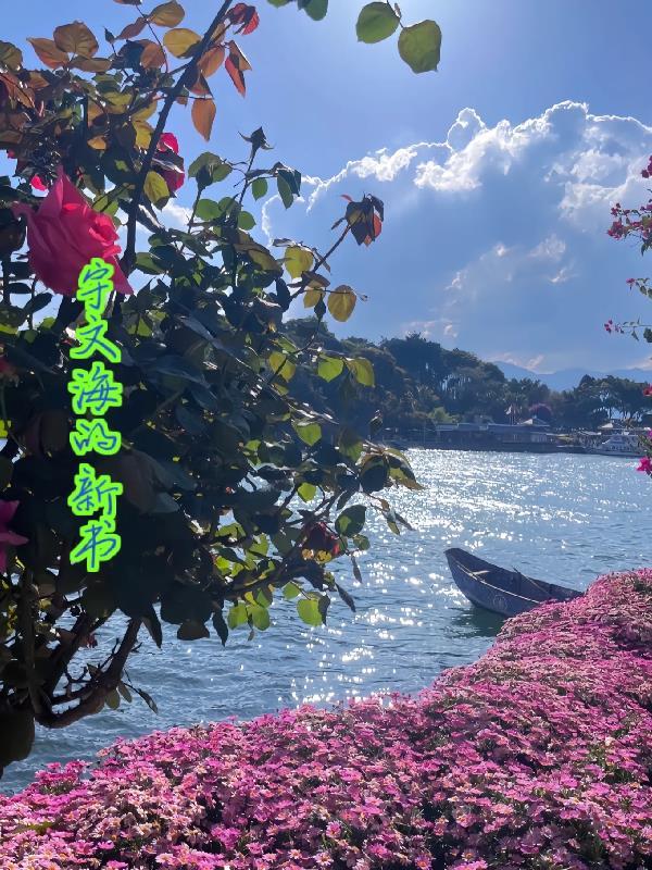 宇文海棠宇文兰君最新章节和背景