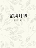 清风月华免费阅读