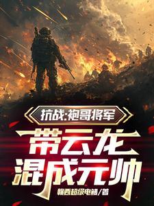 带云龙混成元帅 笔趣阁
