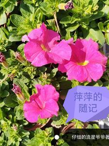 回答下面的问题