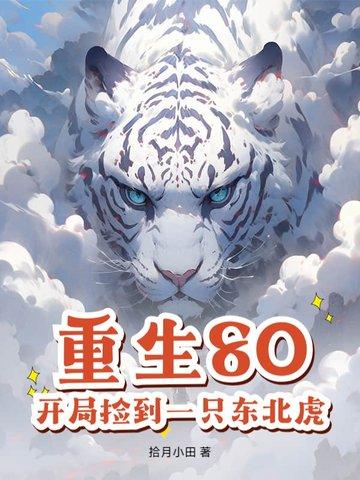 重生80捡破烂开始