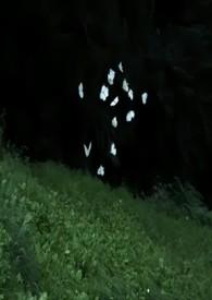 蔚然锦和是什么意思