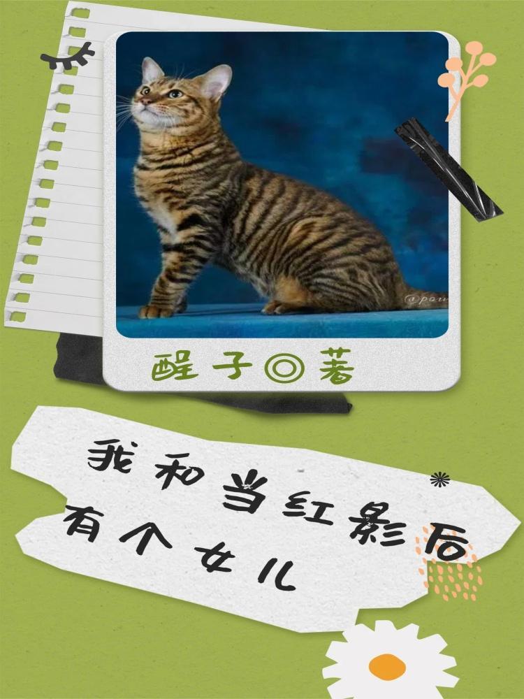 当红影后游戏攻略