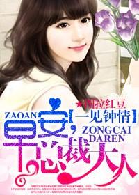 强宠总裁的女人副cp是谁