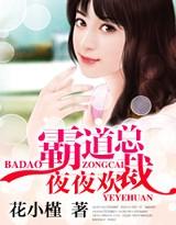 霸道总裁夜夜欢文