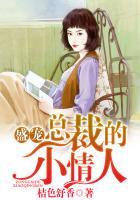 盛宠总裁的小情人