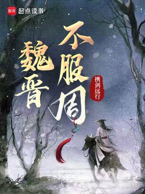 魏晋不服周无防盗