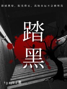 踏黑踏燕恐龙清结卫士积木