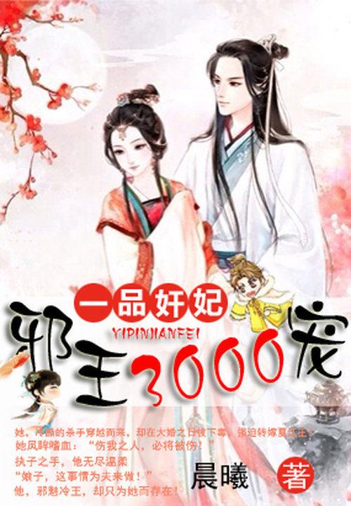 一品奸妃:邪王3000宠
