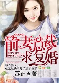 前妻,总裁求复婚!